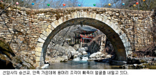 [김화성 전문기자의 &joy]순천 선암사∼송광사 길