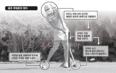 [스포츠&사이언스] 골프 장타, ‘파워존’ 활용에 달렸다