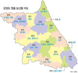 [강원]강원 농산물 명품화 전국 공략