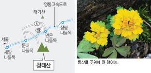 [강원]차령산맥을 따라서청태산