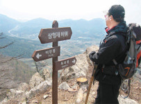 [강원]차령산맥을 따라서<8>오갑산