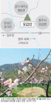 [강원]차령산맥을 따라서오갑산
