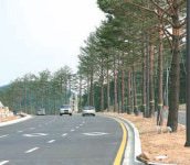 [강원]신사임당-허난설헌 이름딴 도로 7월 1일 개통