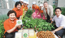 [수도권]서울 도심에 ‘행복 주식회사’ 떴다