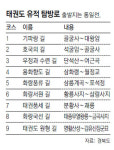 ‘태권도+화랑도’ 문화상품 되고