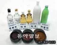 [충북]괴산 명품 ‘대학찰옥수수’로 발효식품 생산
