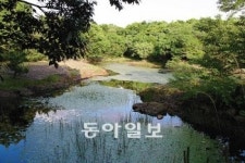 [호남/제주]제주 동백동산습지 보호지역 지정