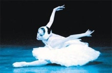 [공연 리뷰]중력 무시한 세계 최고의 날갯짓… ‘빈사의 백조’엔 관객도 숨 멎는듯