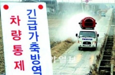 파주서 나흘만에 또 구제역