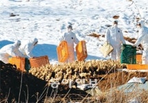 AI, 경기까지 뚫렸다