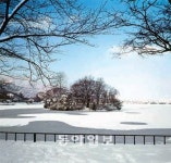 [대구/경북]“대구 수성못을 생태관광 명소로”