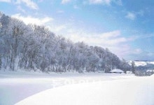 [평창 겨울올림픽]평창 정선 강릉··· 자연 숨쉬는 관광천국