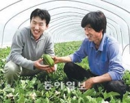 ‘파파야멜론’ 봄철 과일 틈새시장 노린다