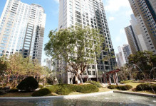 고양 아름다운 벚꽃길 걷기대회 등 다양한 문화행사 볼거리 - 식사지구 일산 위시티