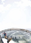 [전남동부권 대변신]최고의 천일염 ‘뻘솔트’를 아시나요