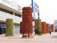 [대구/경북]동대구역 수놓은 대형 꽃탑