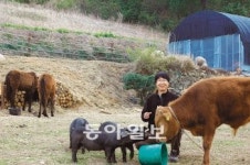 [광주/전남]인간보다 동물이 행복한 해원동물농장