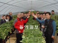 [대구/경북]“지역농산물 애용 로컬푸드 동참을”