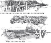 [O2/이장희의 스케치 여행]강진 백련사 동백숲