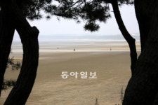 [Travel]기름띠 이겨낸 인간띠… 기적은 계속된다