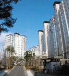 [Home&Dream]일산 임광·진흥 아파트, 청약통장 없이 즉시입주 가능 外