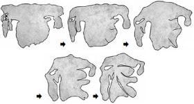 게리 레드야드 “한국 古지도의 매력은 생물 같은 역동성”