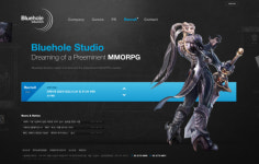 테라 개발사 블루홀스튜디오, 홈페이지 새 단장