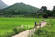 [충북]내고장 둘레길/충북 옥천 ‘향수 100리길’