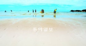 출발! 스마트한 여름 휴가