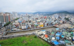 창원 하천 살리기 나섰다