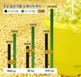 콩콩 뛰는 콩값… 밥상에 콩나물 안보인다