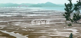 [김화성 전문기자의 &joy]‘느려 터져서 더 행복한 섬’ 전남 증도 걷기