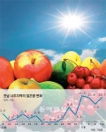 뒤늦은 햇볕… 과일들 단맛잔치 시작됐다