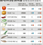 껑충 뛴 추석물가, 일제히 내릴듯