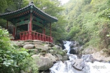 보성군, 차와 소리를 이해하며 걷는 득음길 조성