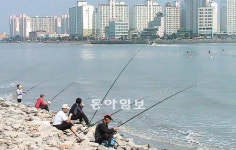 [인천/경기]아파트 옆 강태공