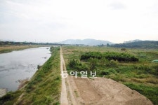 [대구/경북]대구 노곡 하중도 비닐하우스 철거 뒤 본격 개발