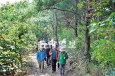 [강원]“6·25상흔 따라… DMZ 펀치볼둘레길 걸어요”