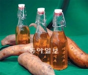 [충북]몸속 유해산소 없애는 ‘야콘 식초’ 내달 시판