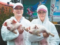 [제주]‘3년연속 돼지 품질평가 대상’ 제주 봉영농장 고봉석 씨 부부