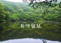 [제주]제주 물찻오름-서귀포 도너리오름 생태계 훼손 여전… 휴식년제 연장