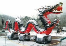 [대구/경북]대구수목원 마당에 등장한 흑룡