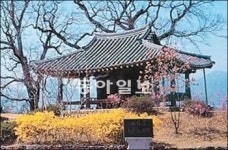 [함성호의 옛집 읽기]<8>‘호남 정자의 원형’ 면앙정