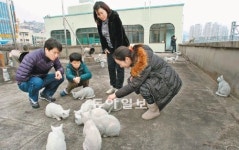 [부산/경남]새단장한 부산진역은 고양이 세상?