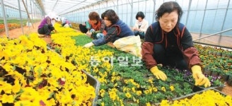 영암신문(주)광주지점 | [광주/전남]봄맞이 준비 한창
