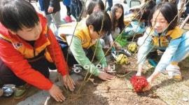 [부산/경남]봄을 심는 아이들