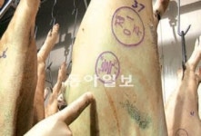 [오늘의 채널A]서울서 팔고있는 제주흑돼지 진짜일까