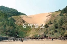 ‘동양 최대 모래언덕’ 사라질 위기