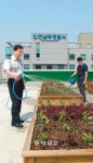 [인천/경기]경찰서 옥상 텃밭