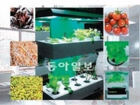 [Industrial Review]동신메탈텍, ‘거실농장’서 사계절 무공해 채소가 쑥쑥